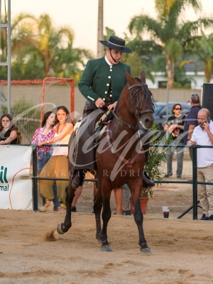 new-enhance-photo-base-16