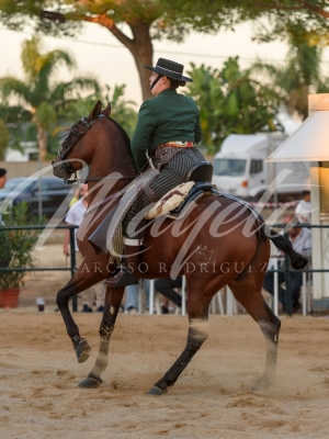 new-enhance-photo-base-15