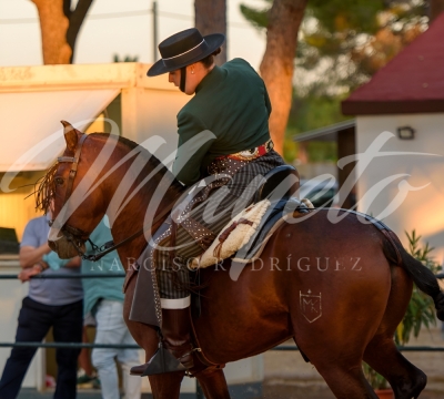 new-enhance-photo-base-14