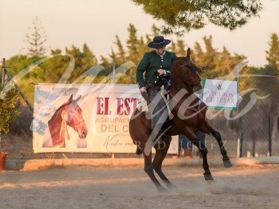 new-enhance-photo-base-13