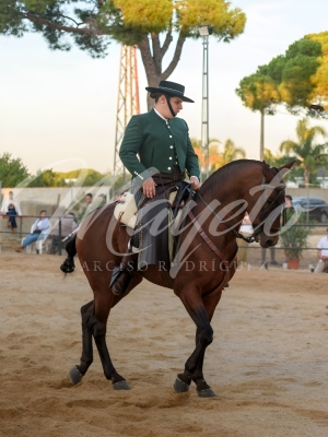 new-enhance-photo-base-10