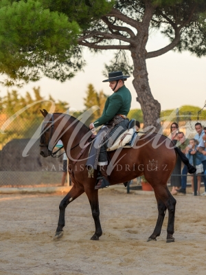 new-enhance-photo-base-7