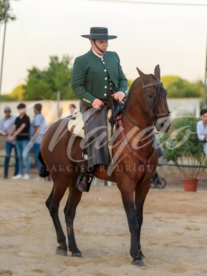 new-enhance-photo-base-6