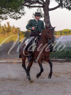 new-enhance-photo-base-5