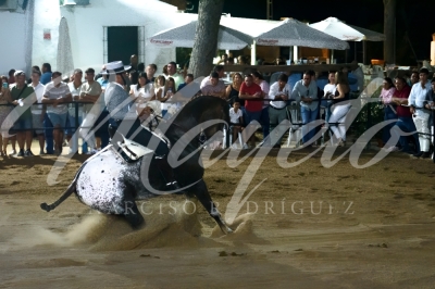 new-enhance-photo-base-29