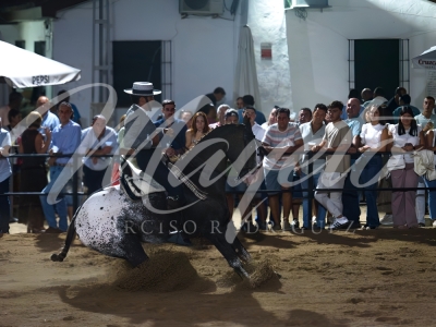 new-enhance-photo-base-28