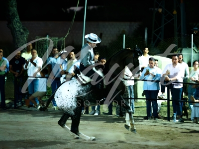 new-enhance-photo-base-27