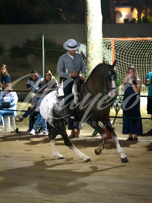 new-enhance-photo-base-24