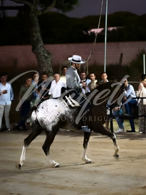 new-enhance-photo-base-23