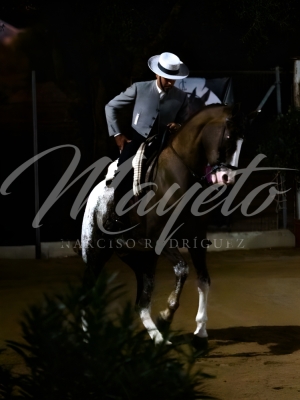 new-enhance-photo-base-22