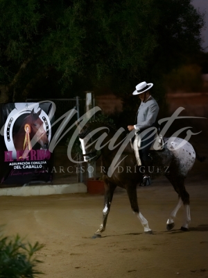 new-enhance-photo-base-21