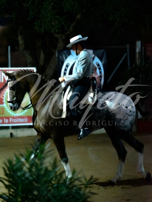 new-enhance-photo-base-20