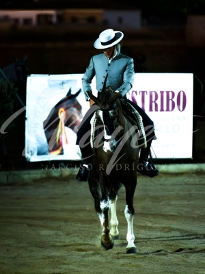 new-enhance-photo-base-19