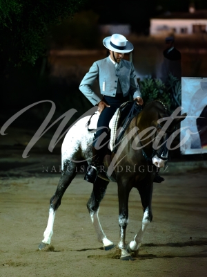 new-enhance-photo-base-18