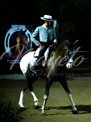 new-enhance-photo-base-17