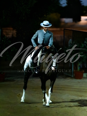 new-enhance-photo-base-15