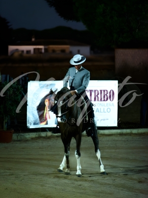 new-enhance-photo-base-12