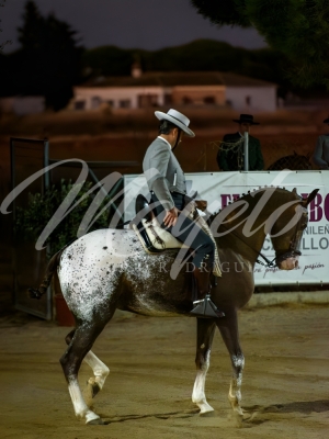 new-enhance-photo-base-11