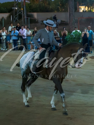 new-enhance-photo-base-9