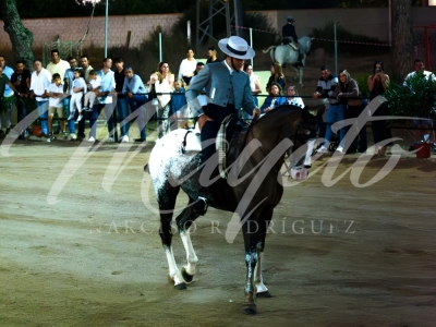 new-enhance-photo-base-8