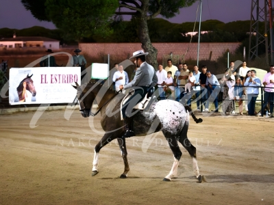 new-enhance-photo-base-7