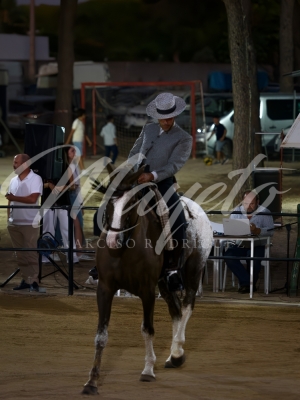 new-enhance-photo-base-6