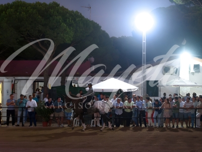 new-enhance-photo-base-5