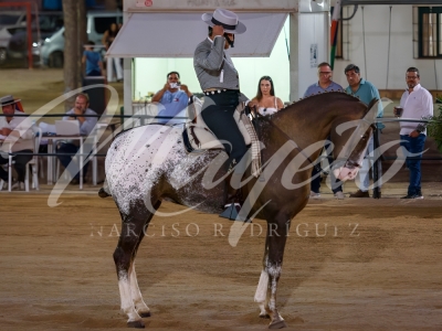 new-enhance-photo-base-3