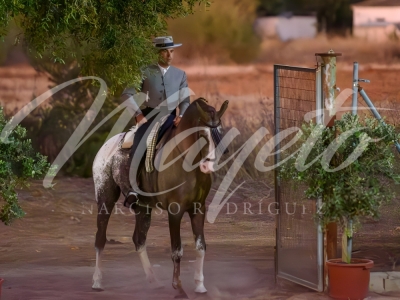 new-enhance-photo-base-2