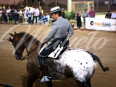 new-enhance-photo-base-1