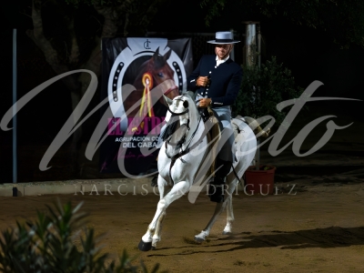 new-enhance-photo-base-39