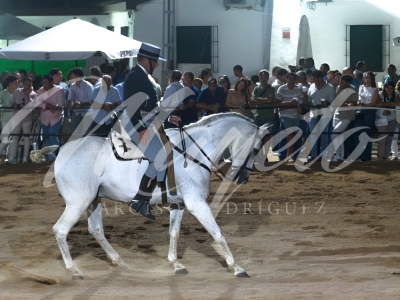 new-enhance-photo-base-36