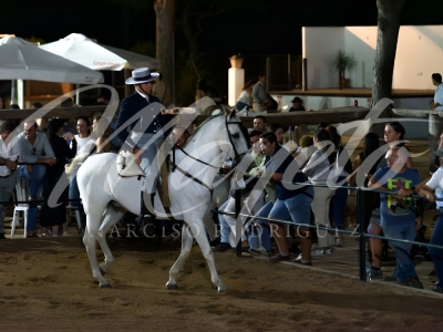 new-enhance-photo-base-33