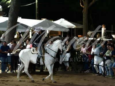 new-enhance-photo-base-32