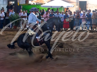 new-enhance-photo-base-72