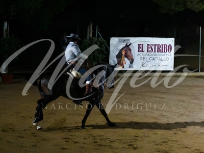 new-enhance-photo-base-69