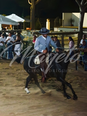 new-enhance-photo-base-66