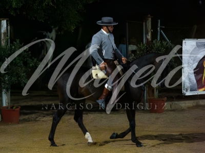 new-enhance-photo-base-50