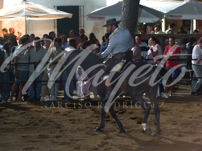 new-enhance-photo-base-48