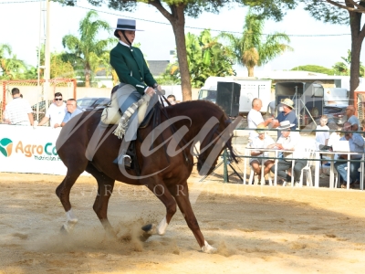 new-enhance-photo-v2-1